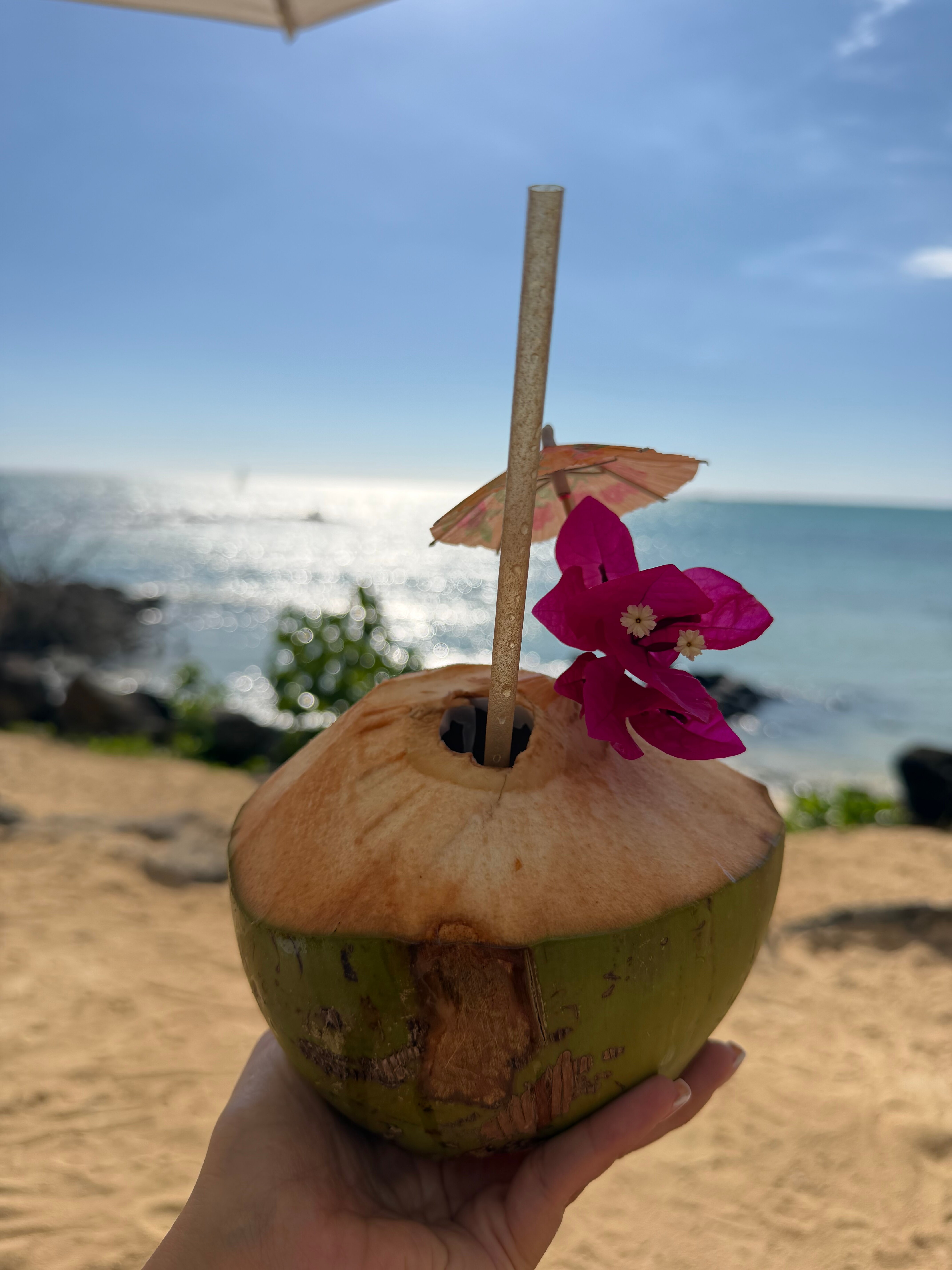 密斯提克生活风格酒店-旅行者