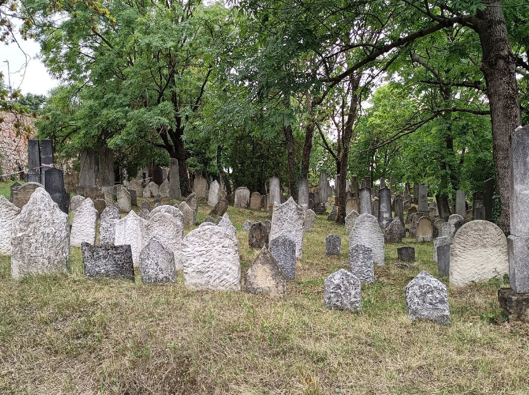 Židovský hřbitov-米库洛夫必去景点