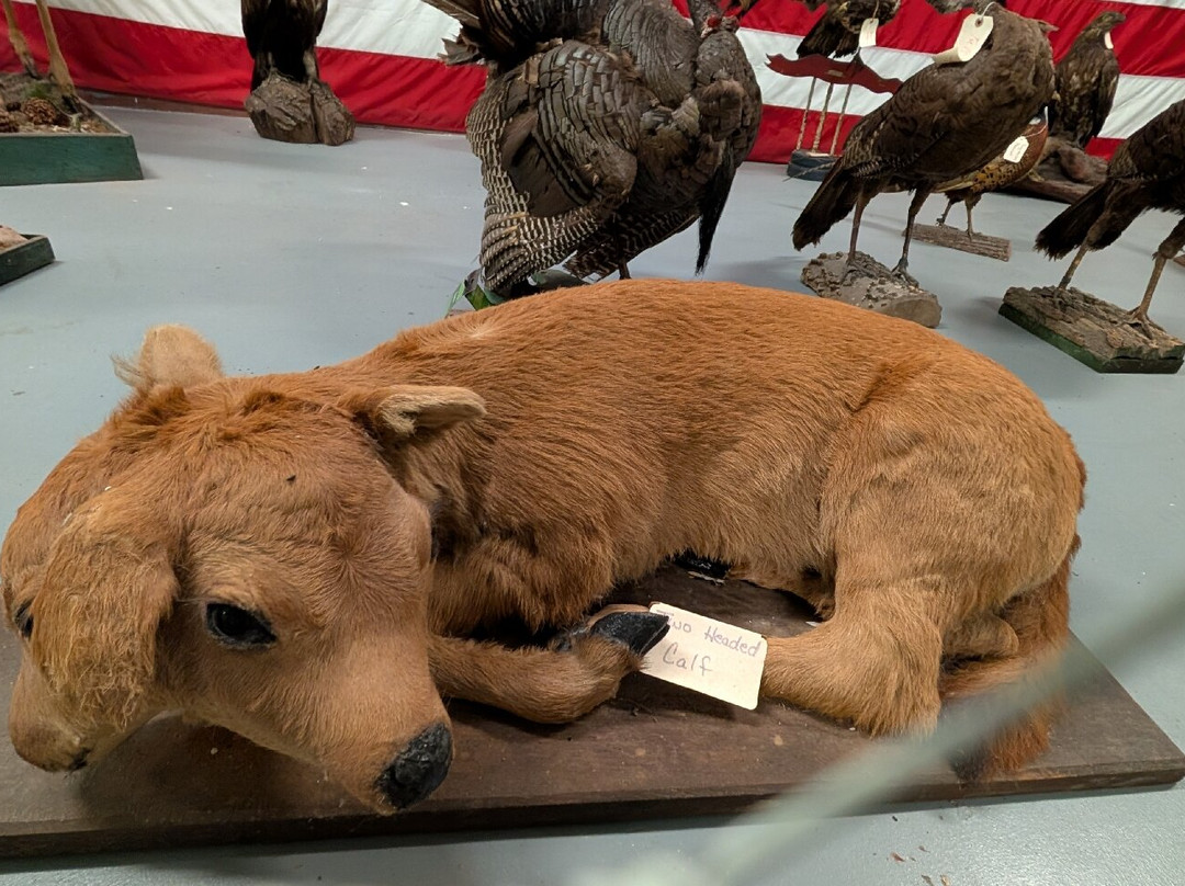 West Virginia State Farm Museum-Point Pleasant必去景点