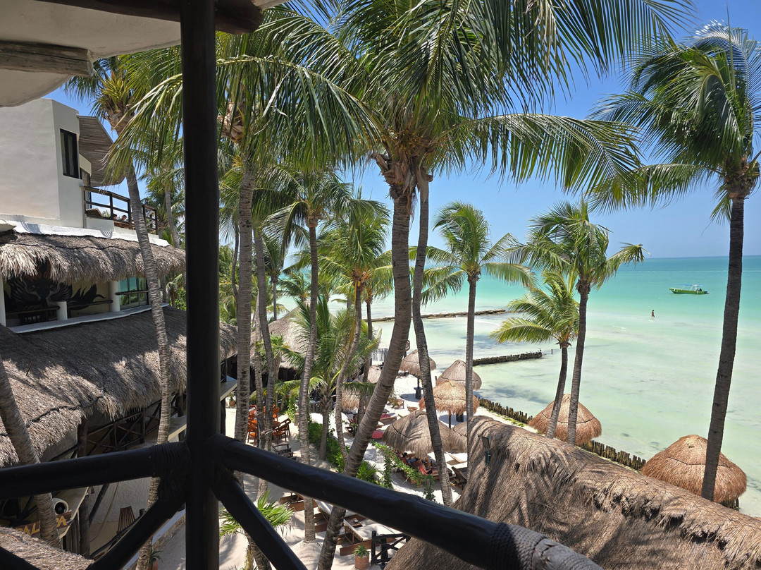 Beachfront Hotel La Palapa主图