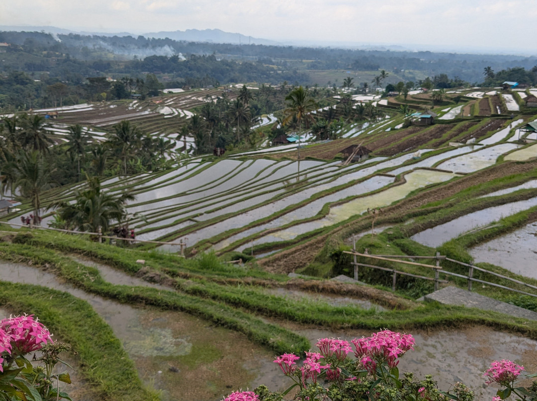 Pemuteran Taxi Bali Tour-佩母德兰必去景点