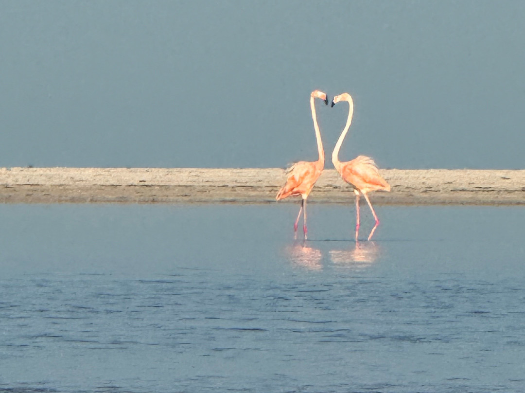 Isla de Holbox-Holbox Island必去景点