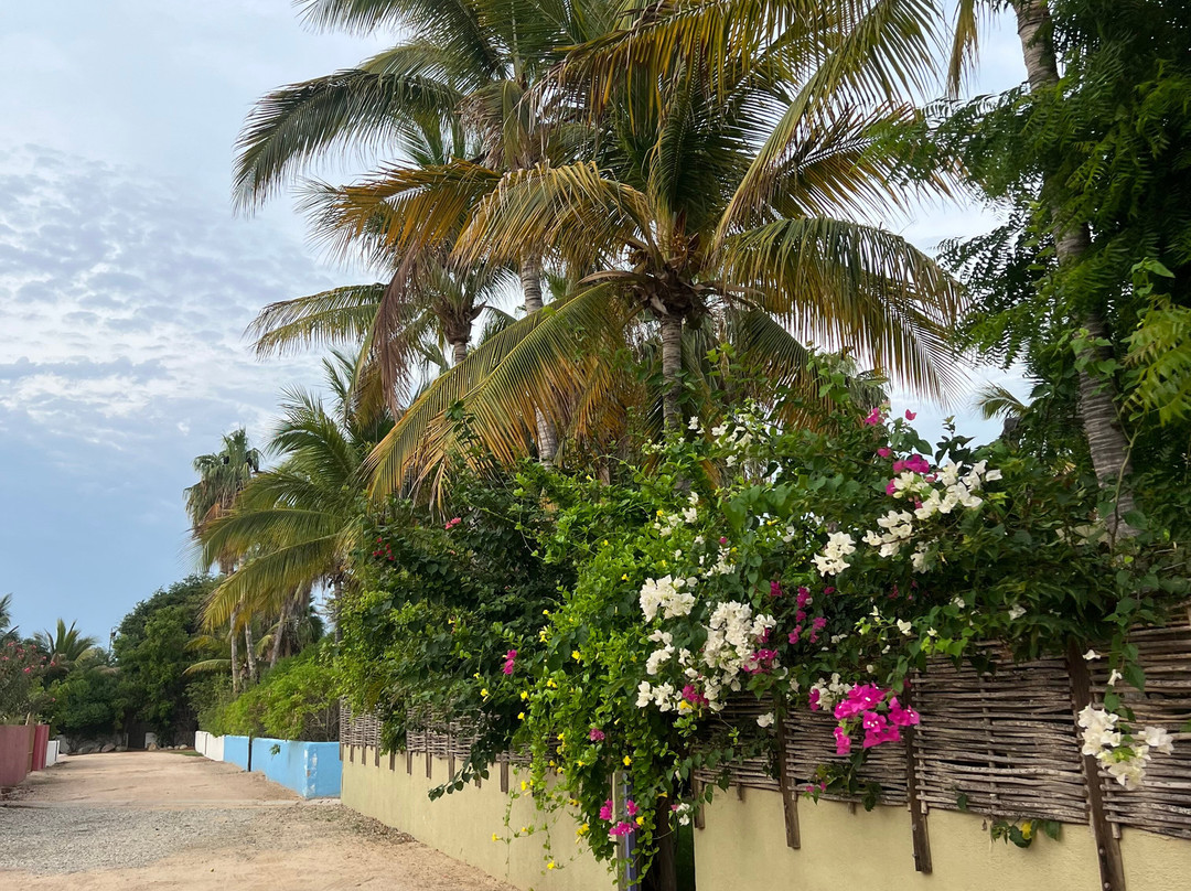 Cabo Pulmo Beach Resort主图