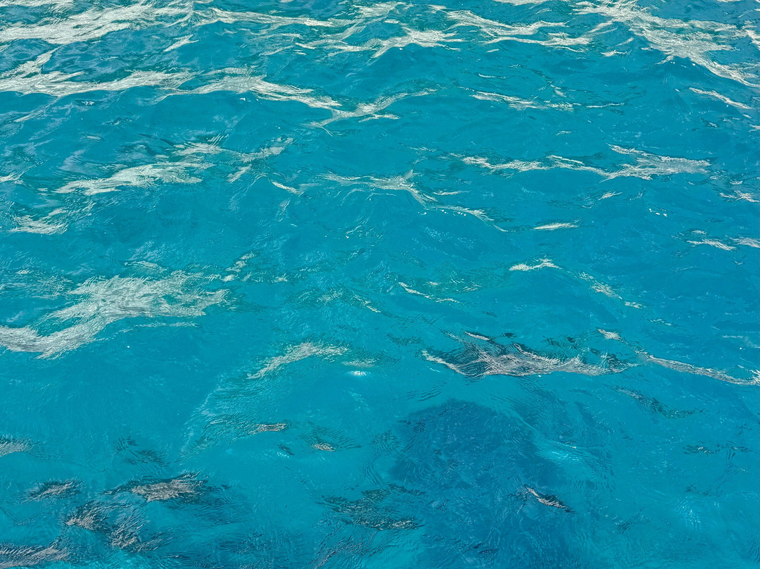 Elba Pesca Turismo-Campo nell'Elba必去景点