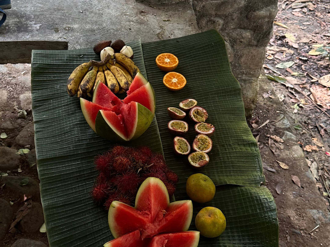 Bukit Lawang Travel-武吉拉旺必去景点