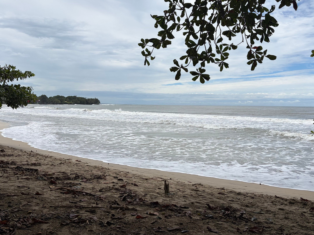 Cahuita Tours-卡维塔必去景点
