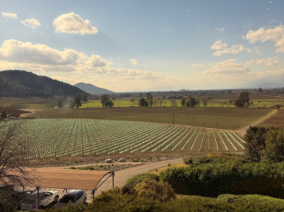 Viña Haras de Pirque-Pirque必去景点