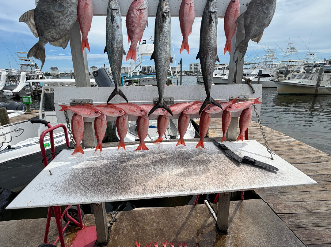 Silver King Charters of Destin-Sandestin必去景点