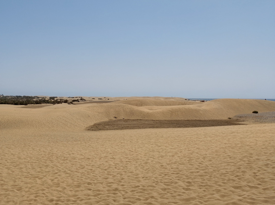 Reserva Natural Especial de Las Dunas de Maspalomas-马斯帕洛马斯必去景点