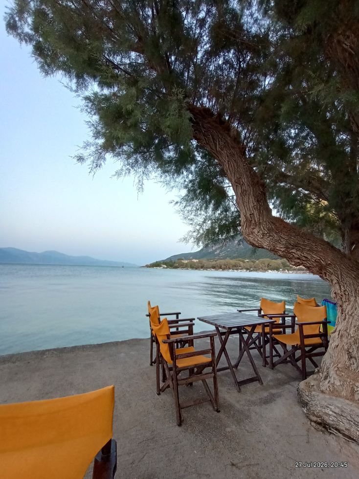佛罗里达蓝湾酒店-旅行者