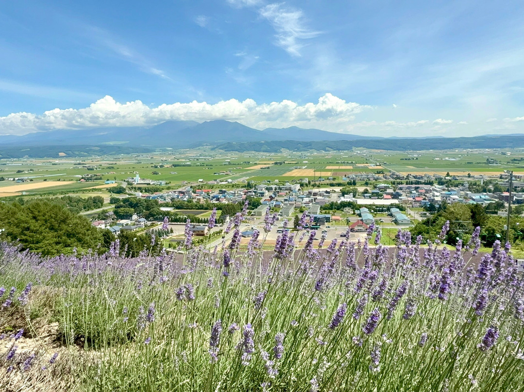 Nakafurano Flower Park-中富良野町必去景点
