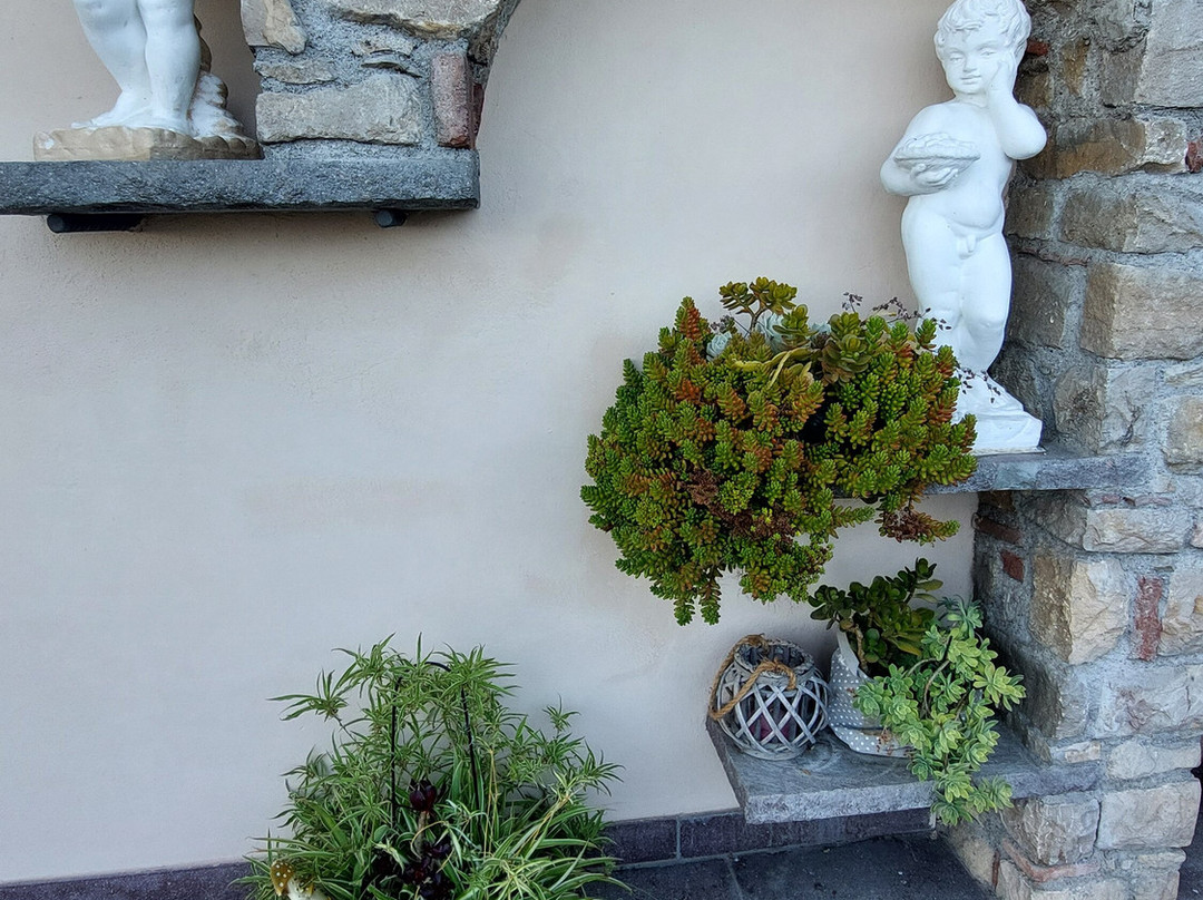 Ca' Pietra di Nonno Pietro主图