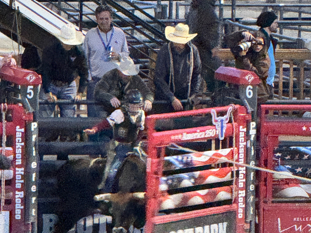 Jackson Hole Rodeo-杰克逊必去景点