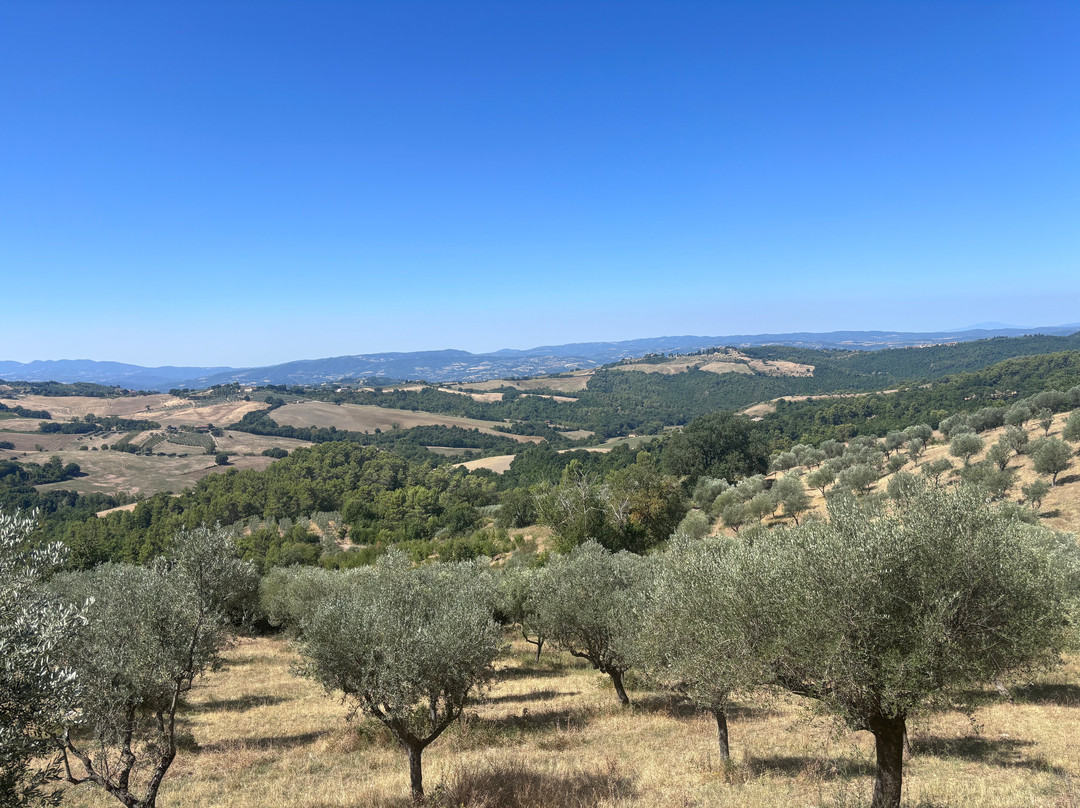 Wine Resort La Ghirlanda葡萄酒度假村主图
