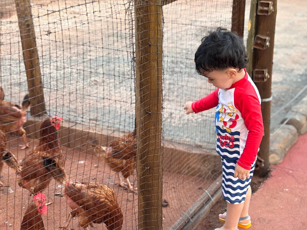 Carpe Diem Eco Resort 奥林匹亚主图