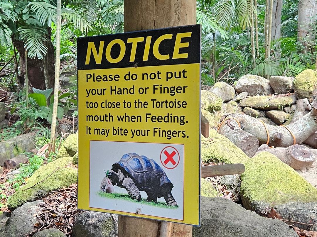 Seychelles National Botanical Gardens-维多利亚必去景点