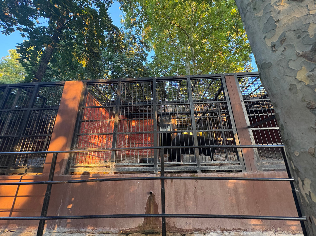 Zoo vrt Tigar-Jagodina必去景点