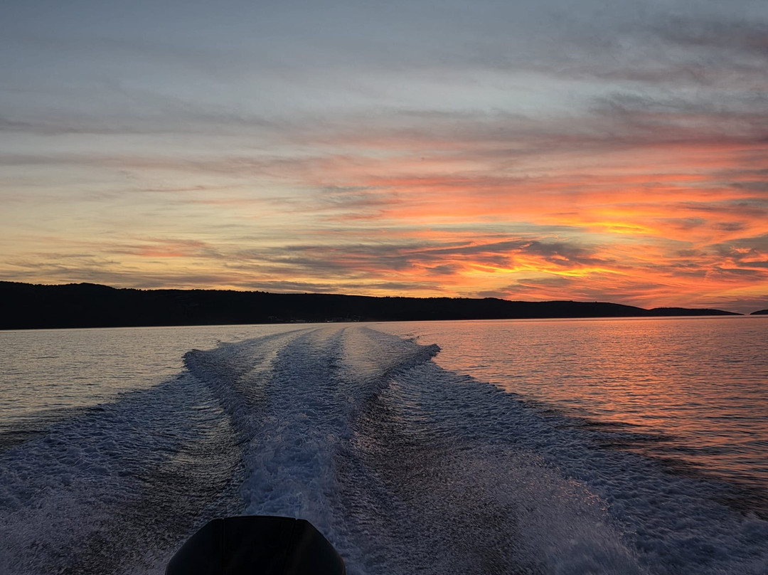 Feel Adriatic Nature Boat Tours Zadar-扎达尔必去景点
