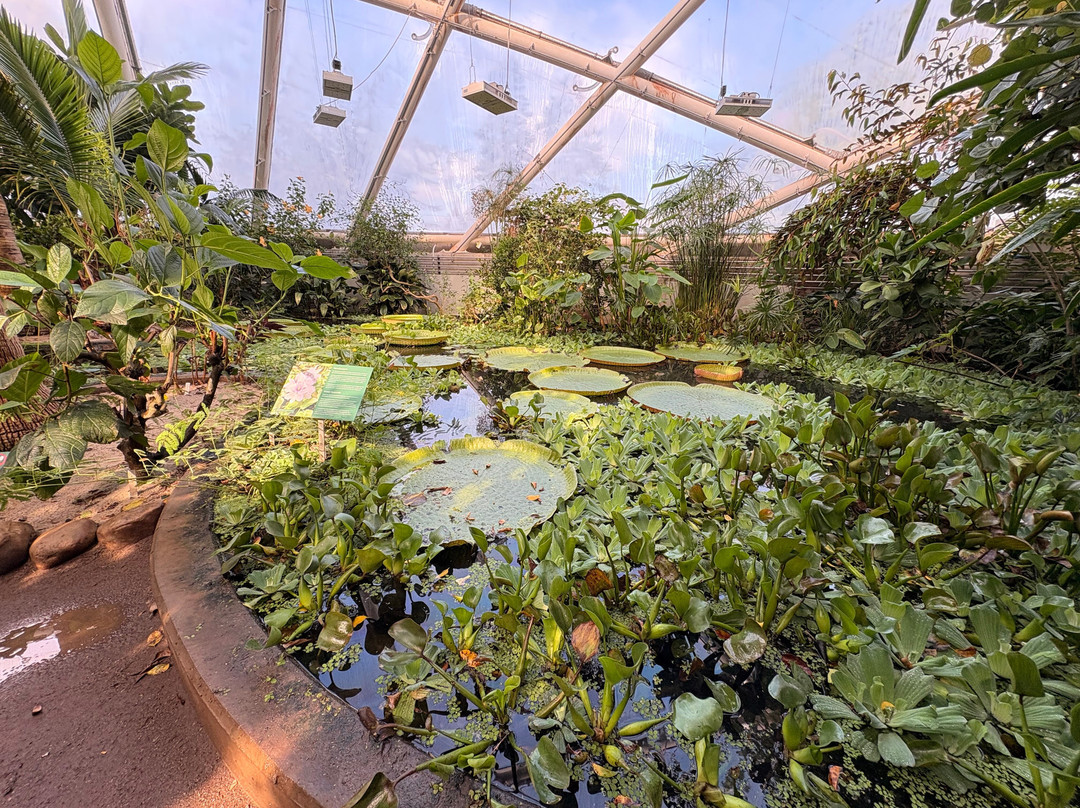 Botanical Garden and the Greenhouses-欧胡斯必去景点
