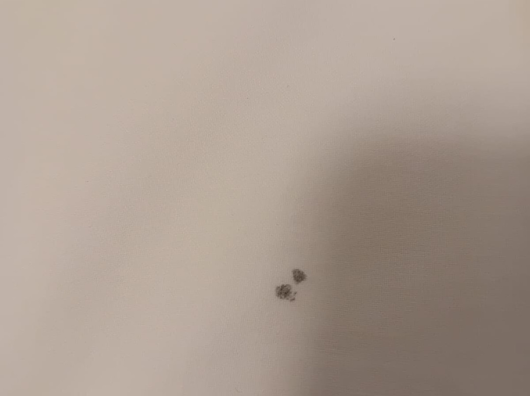 德拉波塔酒店主图