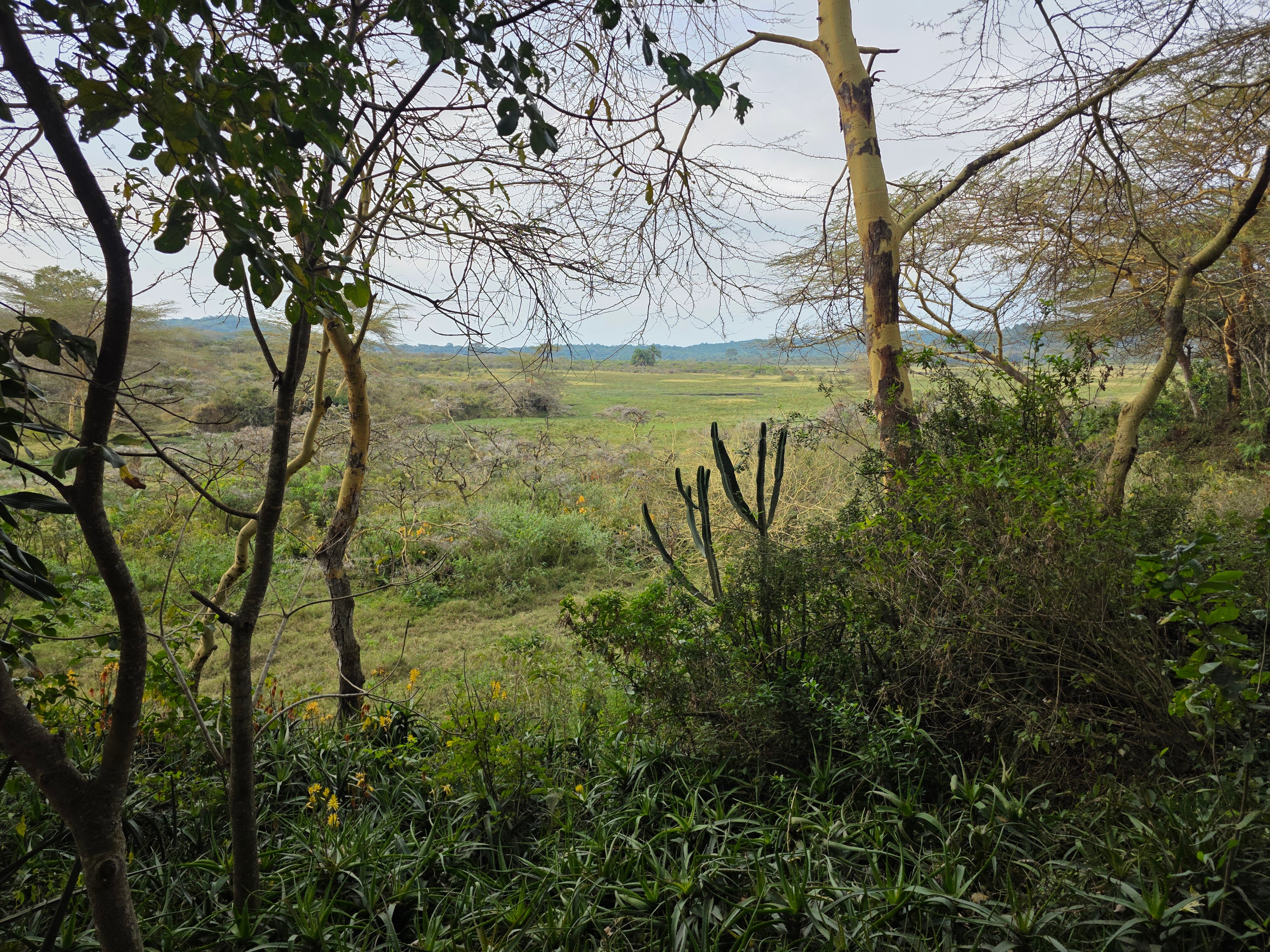 Hatari Lodge-旅行者