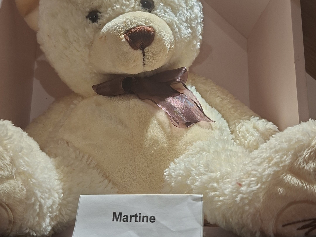 Musée De L'ours-Louhans必去景点