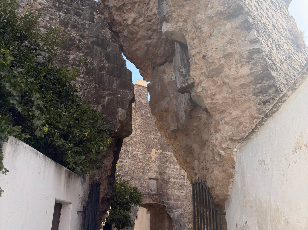 Castelo de Serpa-Serpa必去景点