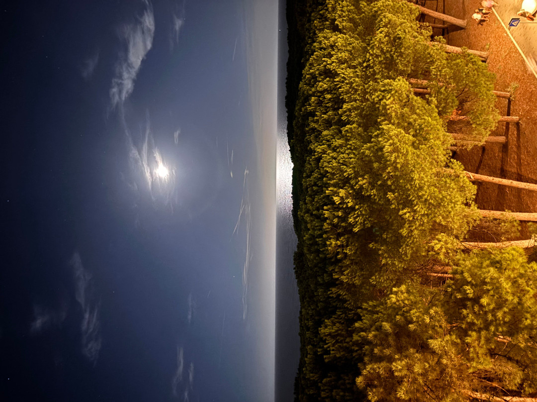Hotel Garden Pinarella主图