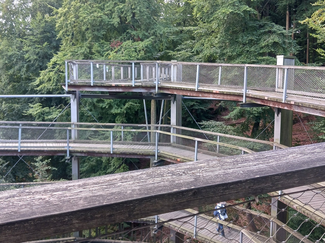 Baumwipfelpfad im Naturerbe Zentrum Rügen-奥茨巴德宾兹必去景点