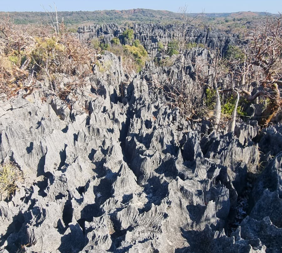 青贝马拉哈严格自然保护区-Tsingy de Bemaraha National Park必去景点