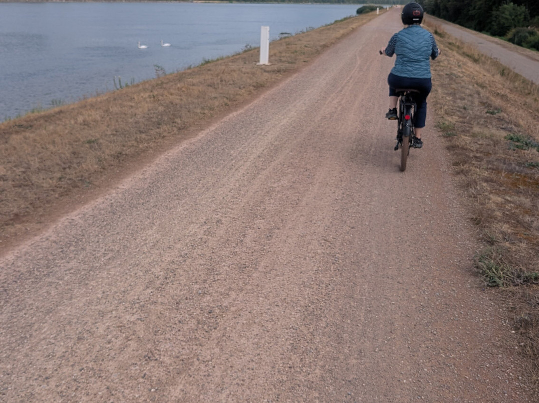 Breisacher Fahrradverleih-Breisach am Rhein必去景点