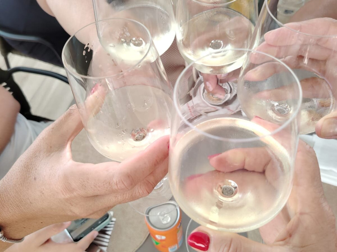 科拉公园度假酒店主图