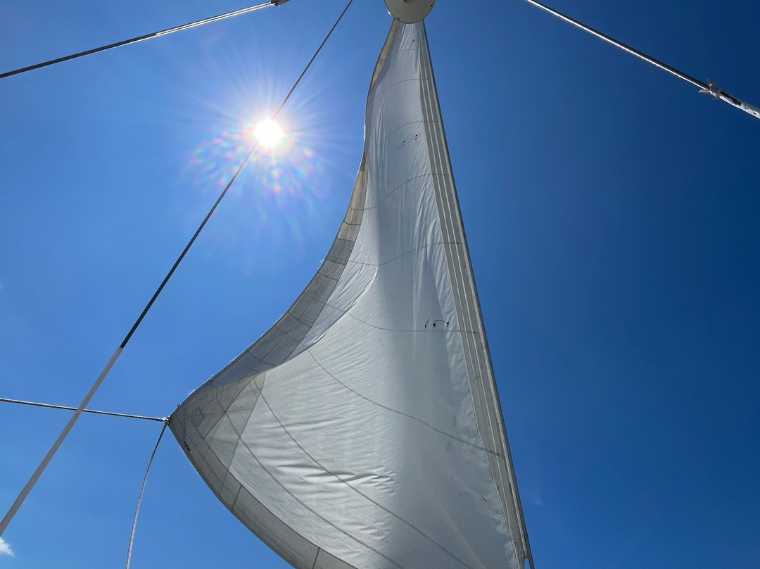 Blue Crab Chesapeake Charters-Rock Hall必去景点