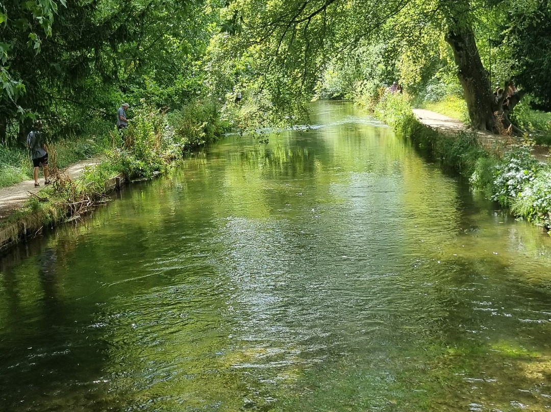 Mottisfont Abbey-Mottisfont必去景点