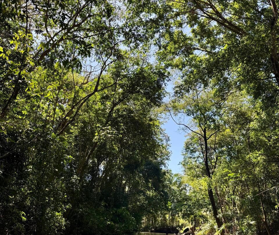 Cambute Mangrove Tours-克波斯必去景点