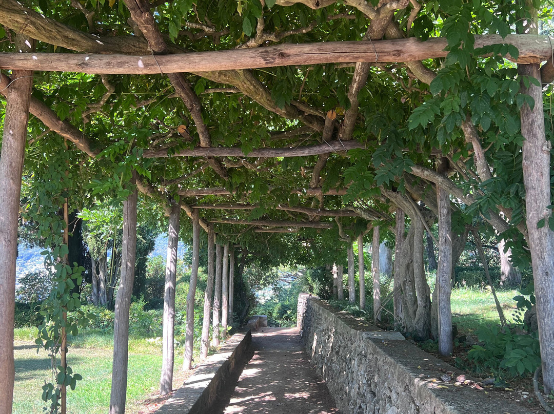 Amalfi Transfer Tour-阿马尔菲必去景点