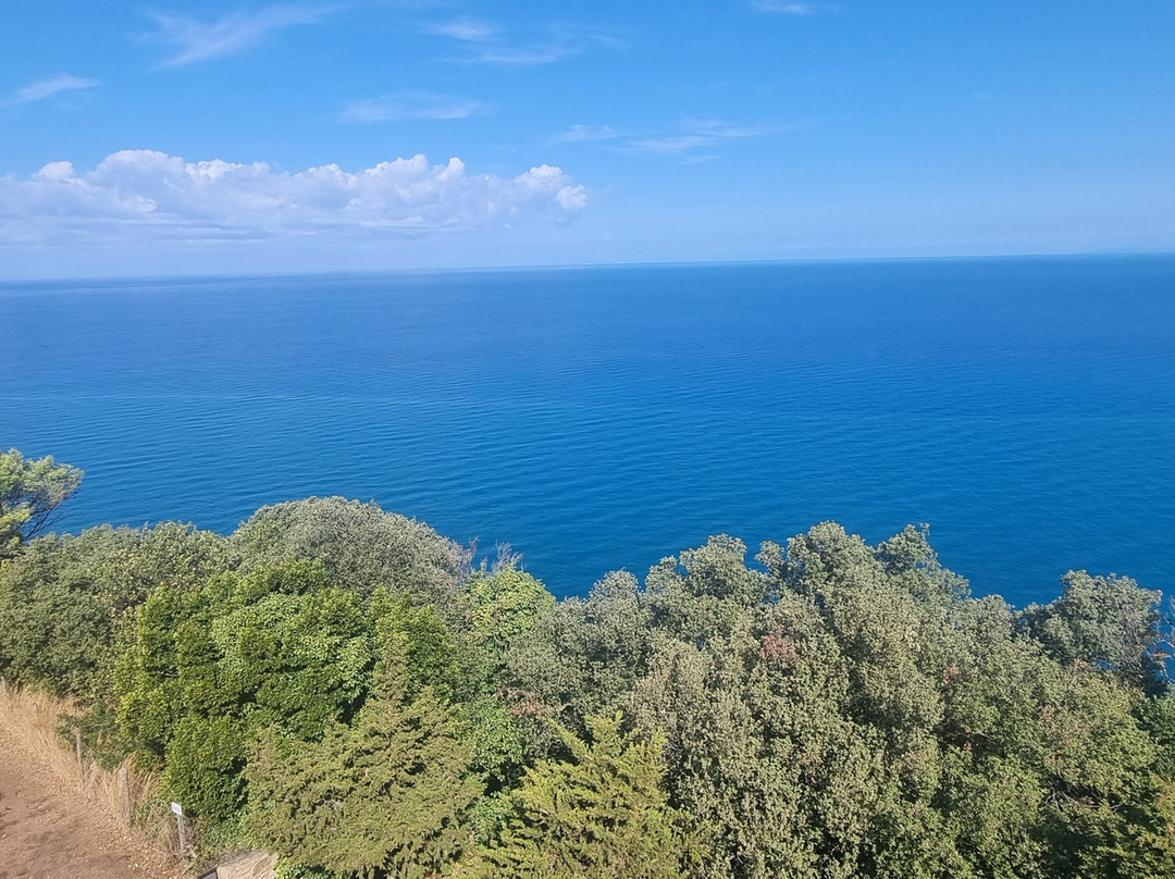 Torre Medievale e Rocca Degli Appiani-Populonia必去景点