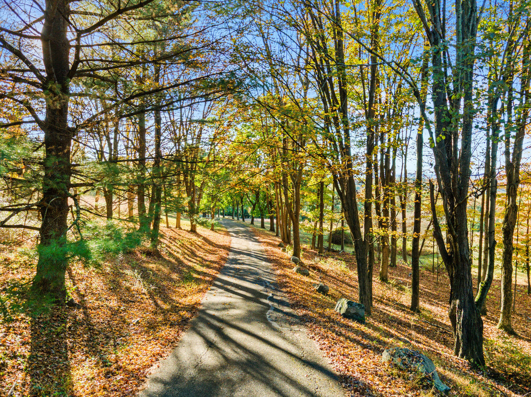 Mazzetti Farm