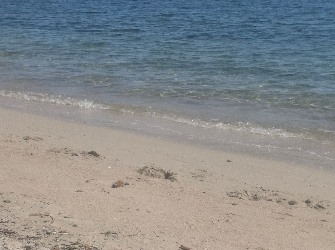 Plage Saint-Cyprien-维琪奥港必去景点