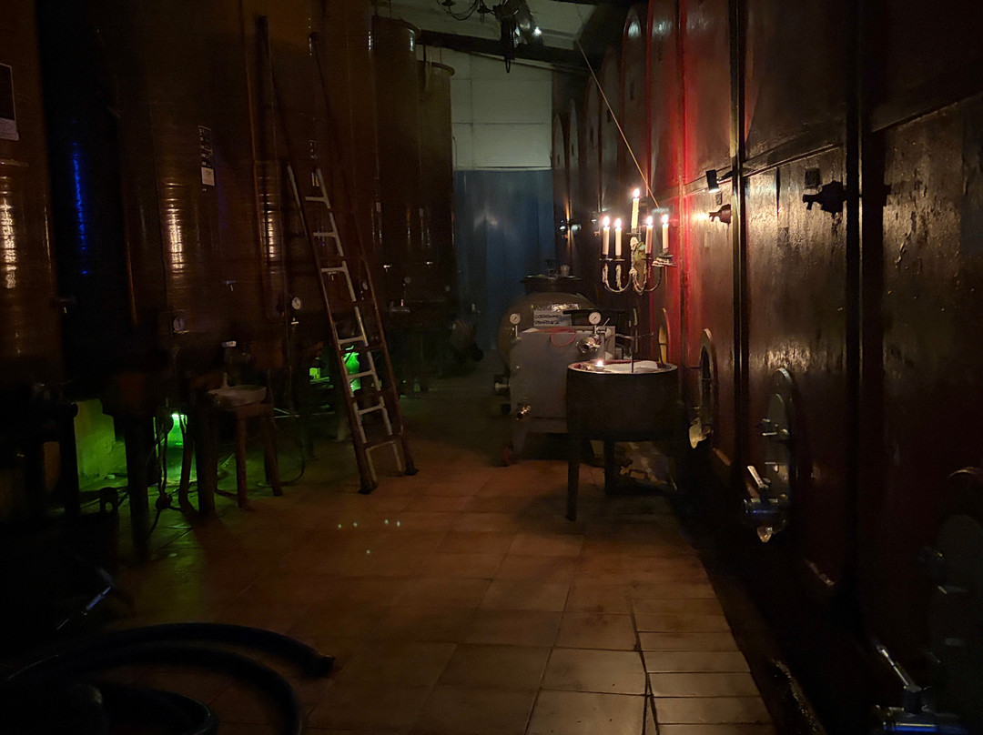 Pierino Vellano - la Cantina di Ca' San Sebastiano-Camino必去景点