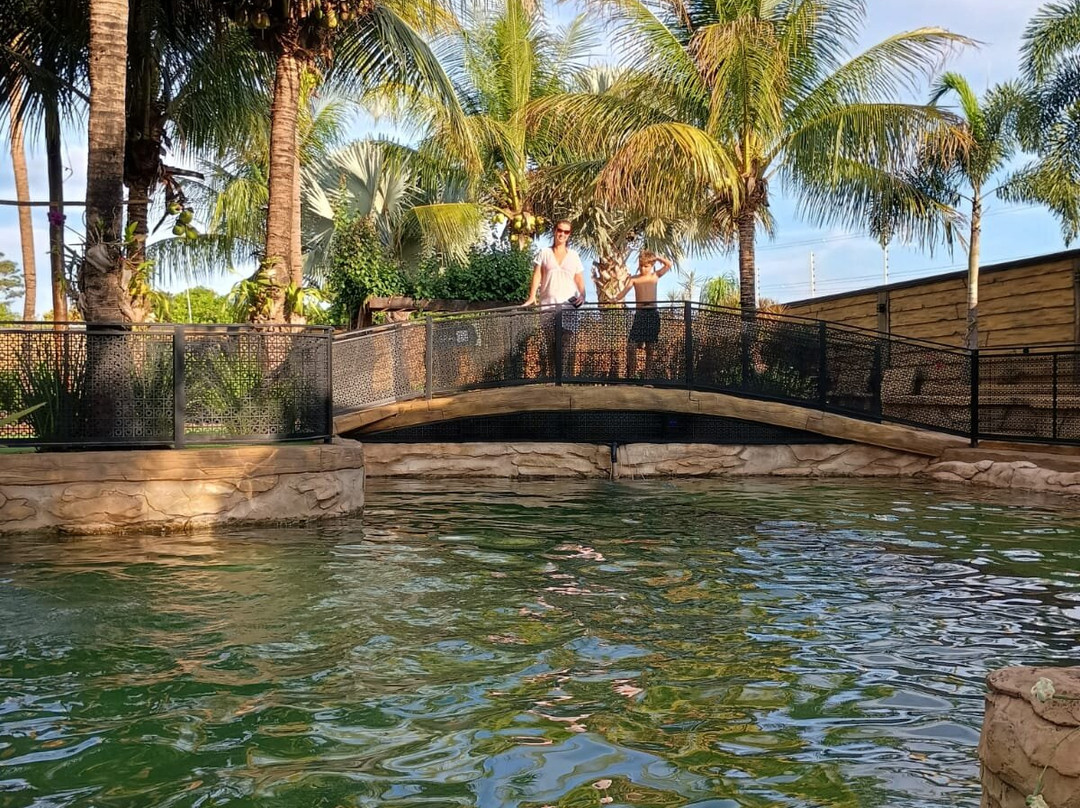 Carpe Diem Eco Resort 奥林匹亚主图