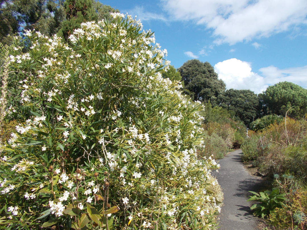 Ventnor Botanic Garden-文特诺必去景点