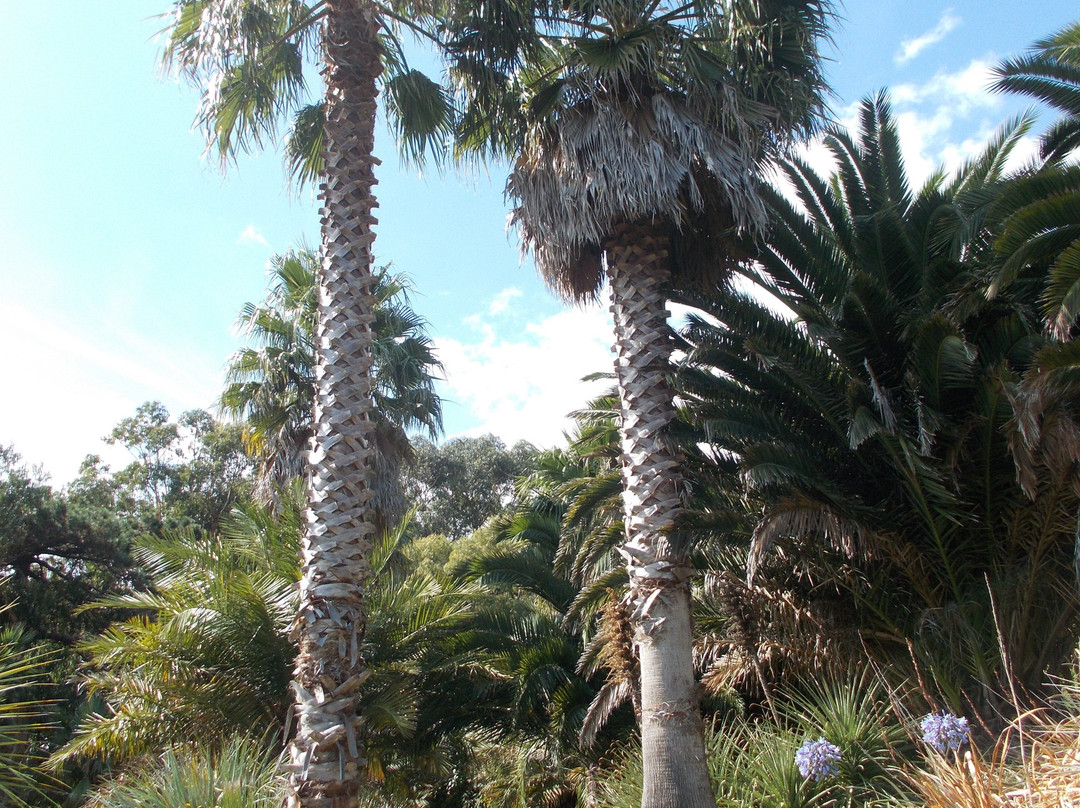 Ventnor Botanic Garden-文特诺必去景点