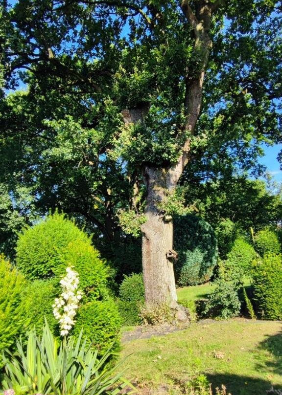 Haus Am Park