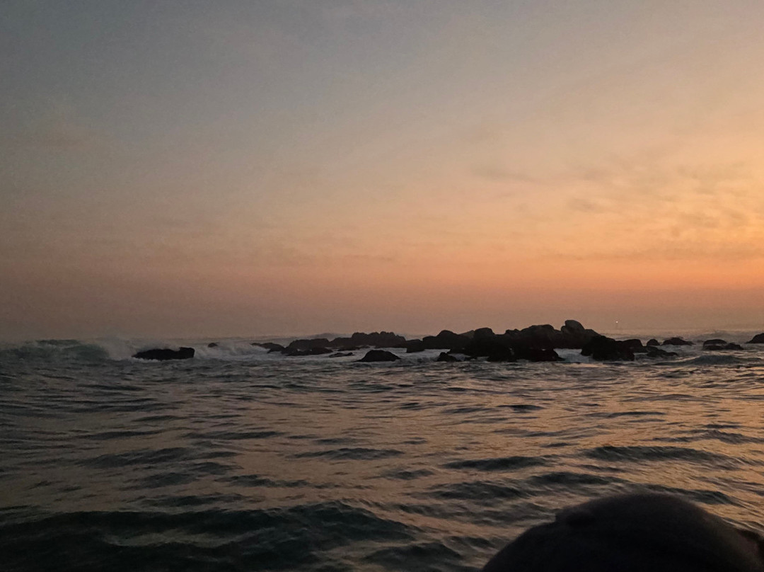 St Francis Safaris-Port St Francis必去景点