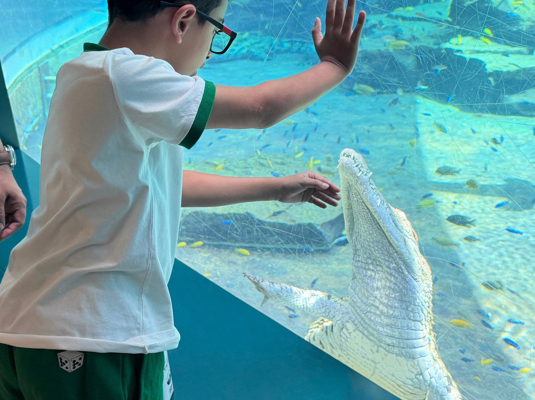 Dubai Crocodile Park-迪拜必去景点