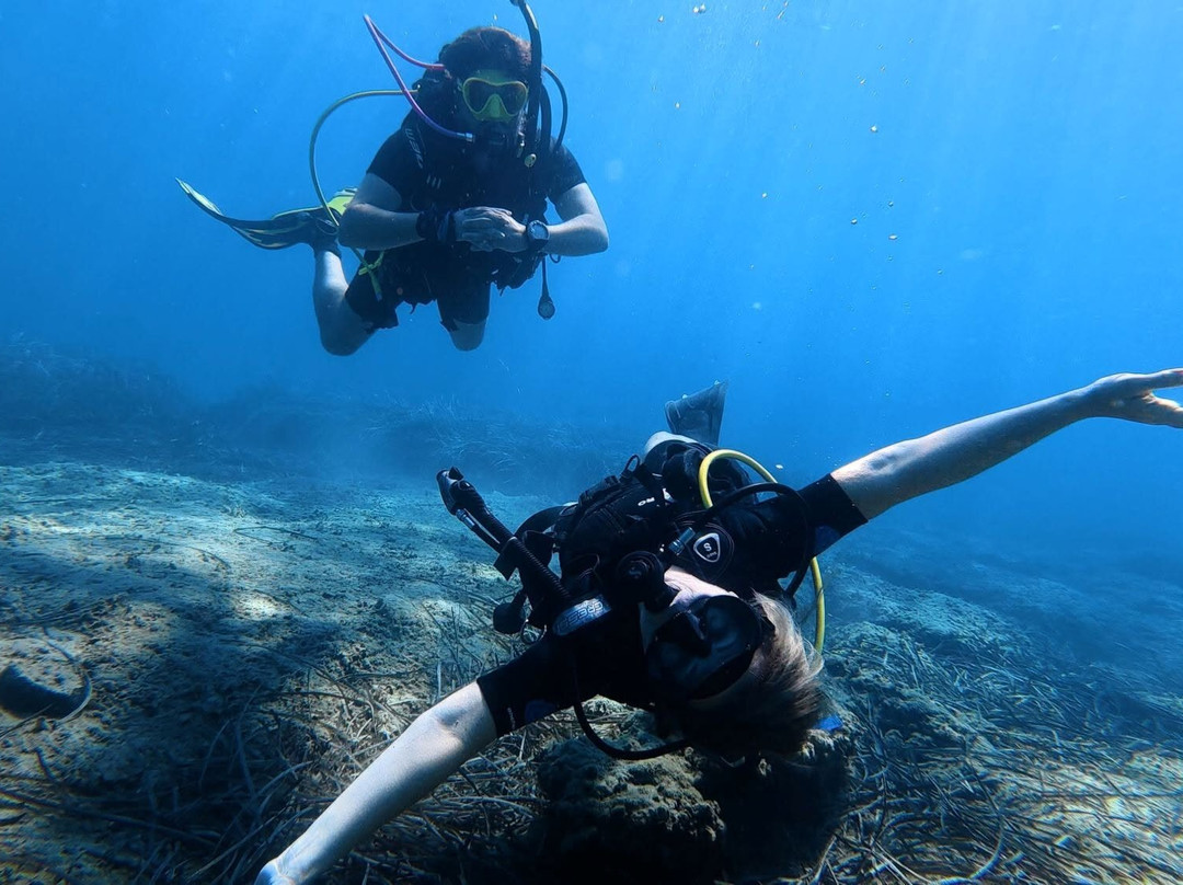 Diving Store-Lagonisi必去景点