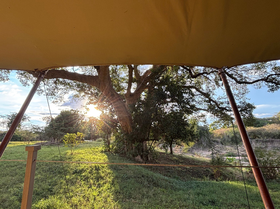 Basecamp Adventure