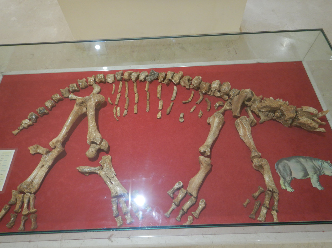 Museum of Mineralogy & Paleontology Stamatiadis-Ialysos必去景点