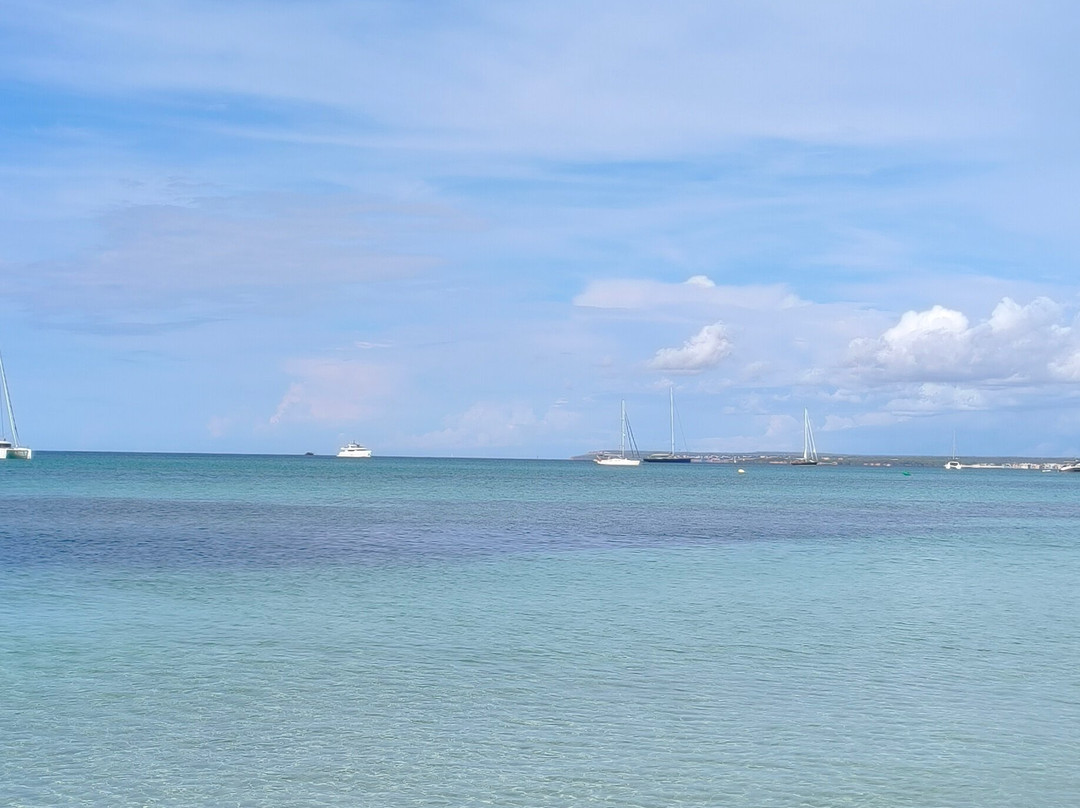 Platja d'es Trenc-Campos必去景点